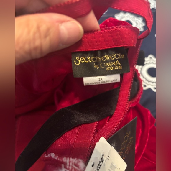 Christmas teddy with bottoms hubba hubba ms claus🎄🤶 - Picture 11 of 15